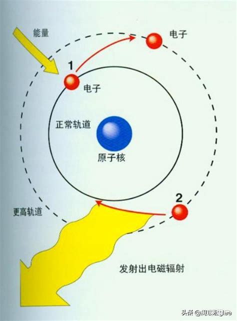 透光物品|为什么有的物体是可以透光的，而有的物体不可以透光？透光与否。